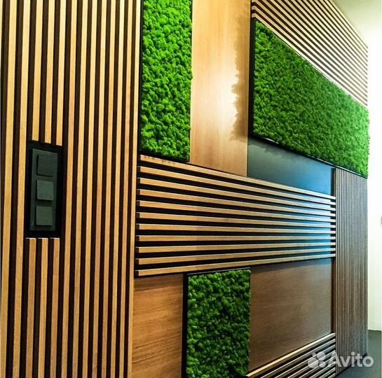 Композиция из мха 70 см