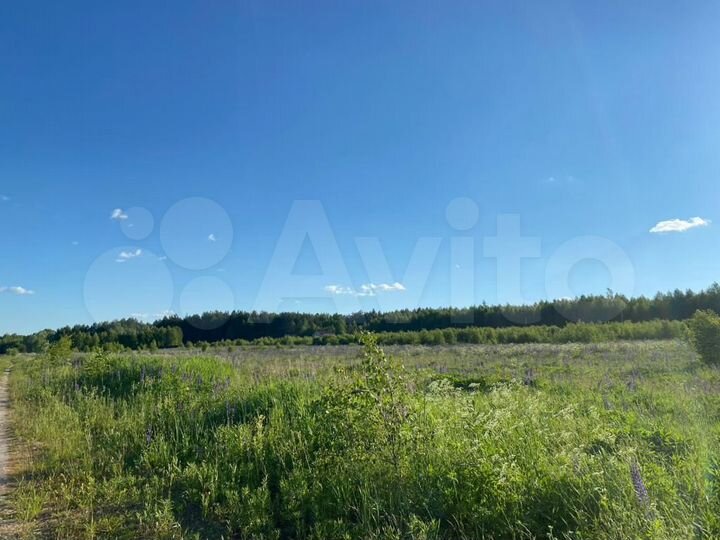 Участок 15,4 сот. (ИЖС)