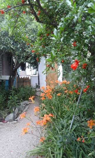 Дом 80 м² на участке 2,5 сот.