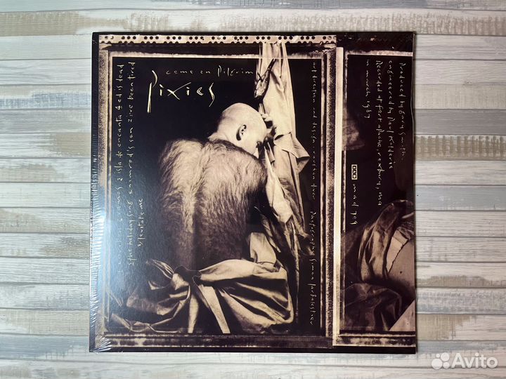 Пластинка Pixies - Come On Pilgrim (LP)