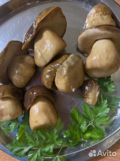 Белые грибы свежие