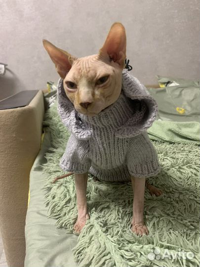 Котик на вязку