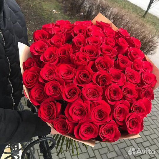 Розы 51 штука