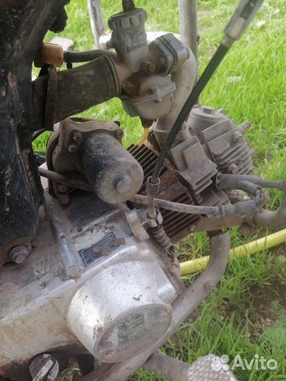 Мопед альфа 110cc