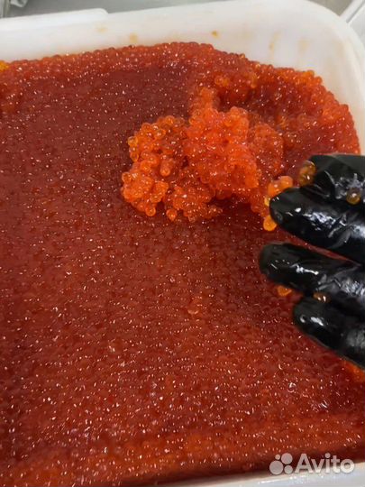 Икра красная кеты 2023