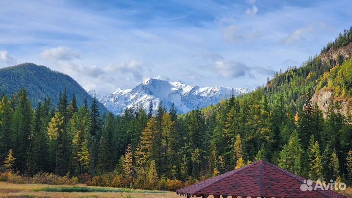 Гид по Алтаю, Экскурсии, Туры