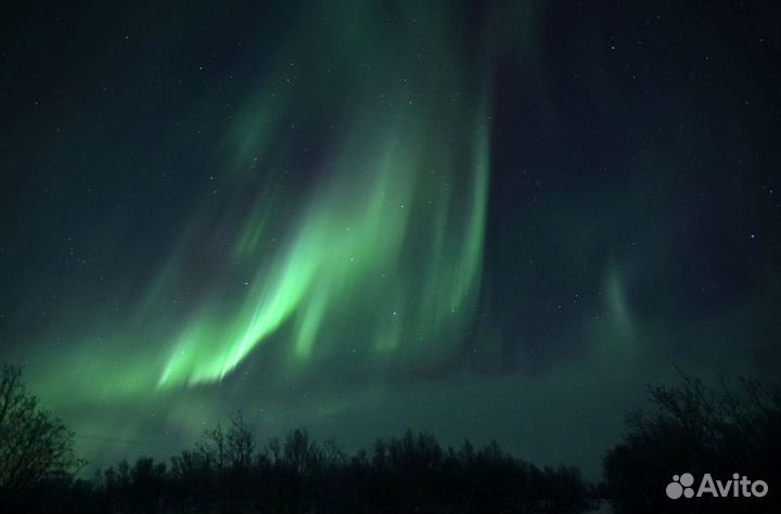 Охота за полярным сиянием с местным гидом