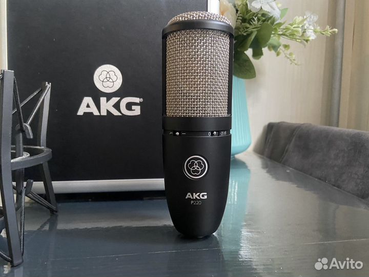 Akg p220