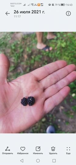 Дача 20 м² на участке 5,7 сот.