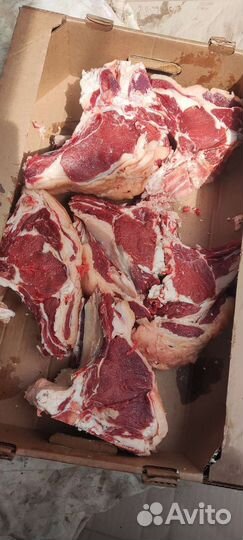 Корм для собак. Мясо. Рубец. Вымя