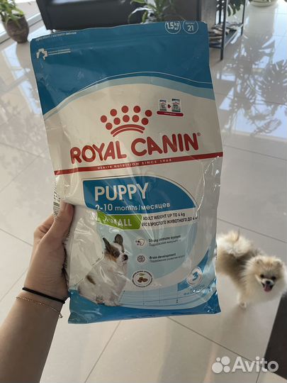 Корм для собак