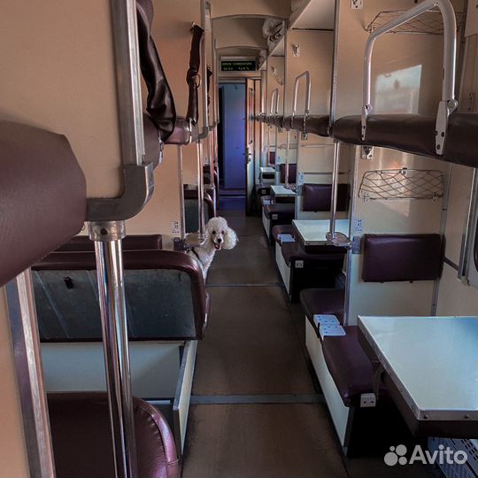 Фотосессия на пленочный фотоаппарат/на пленку