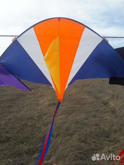 Воздушный змей Скат