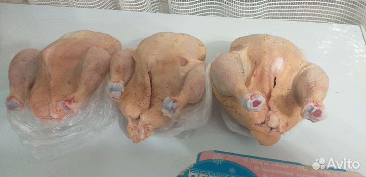 Куры бройлеры тушки мясо