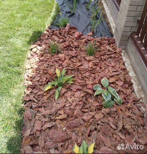 Мульча кора лиственницы