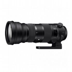 Sigma 150-600 F 5-6.3 DG DN OS Sports Sony E