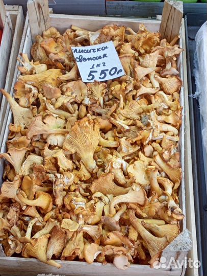 Овощи фрукты