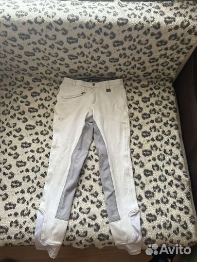 Конная амуниция бу