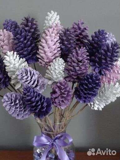 Шишки краснополянской сосны