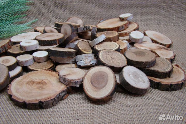 Спилы Набор 100 шт. разных размеров и пород дерева