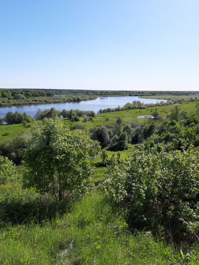 Дом 50 м² на участке 12 сот.