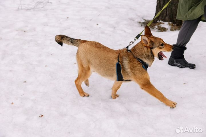 Малышка хочет жить дома