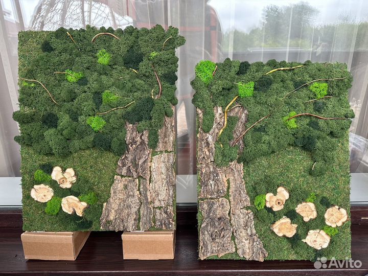 Картина из стабилизированного мха