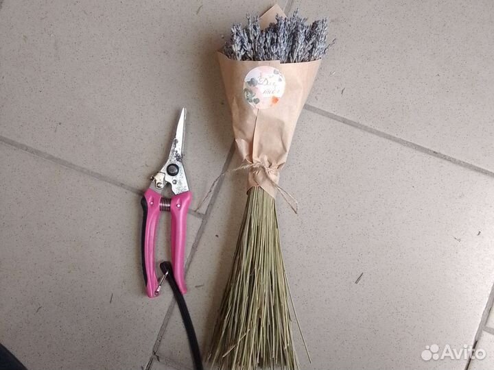 Букеты с сухоцветом Лаванды