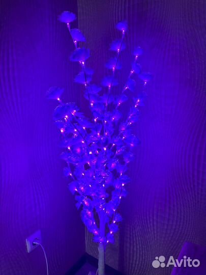 Дерево сакура