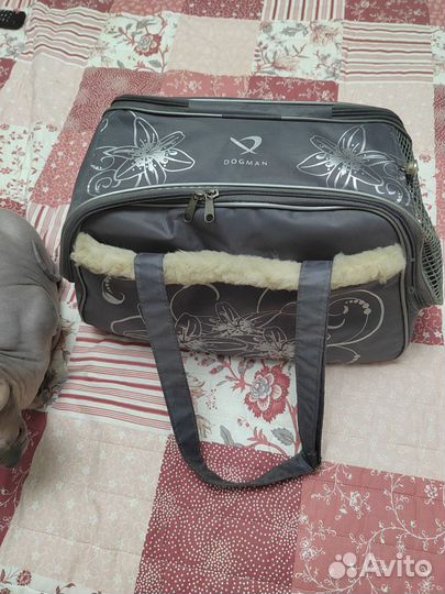 Переноска для кошек бу