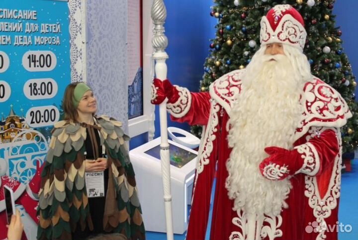 Дед мороз и снегурочка на дом