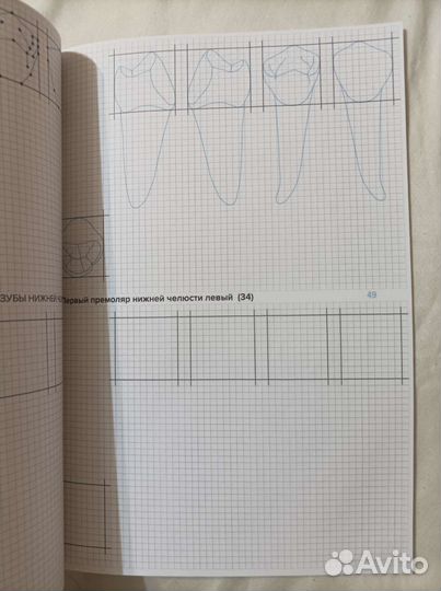 Для студентов игма