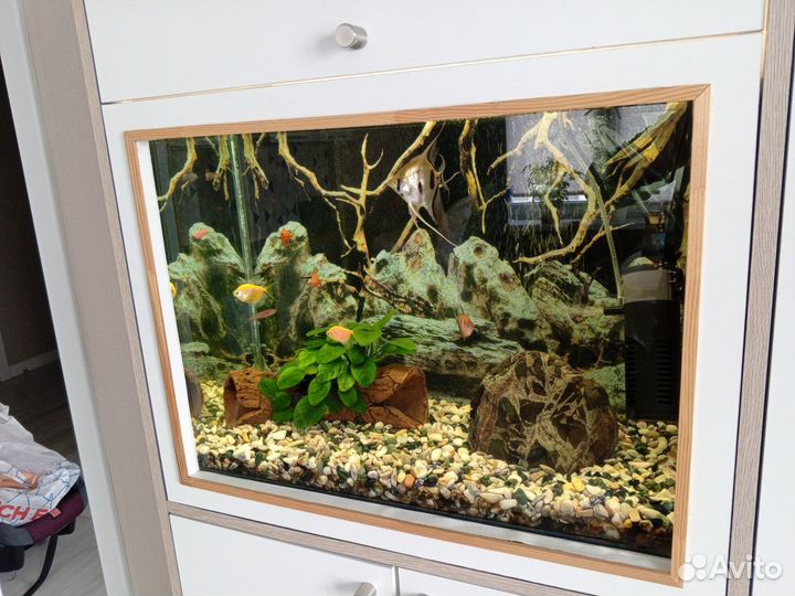 Аквариум со всеми принадлежностями и рыбками