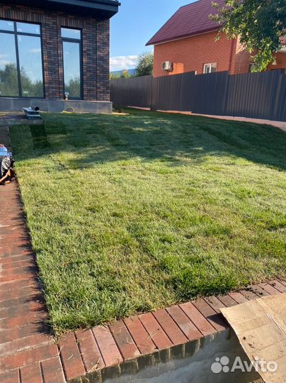 Рулонный газон под ключ