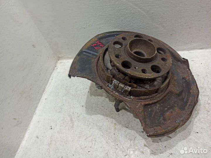 Кулак задний левый