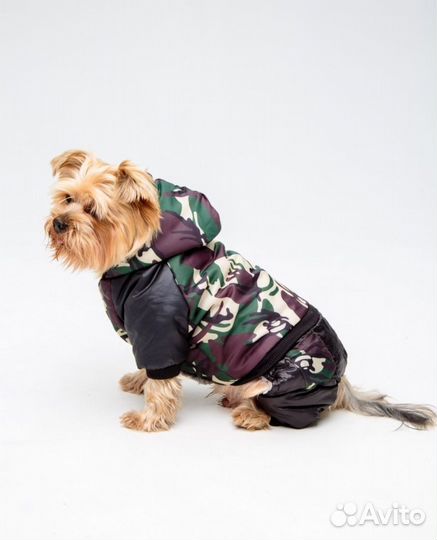 Новый комбинезон для собаки теплый