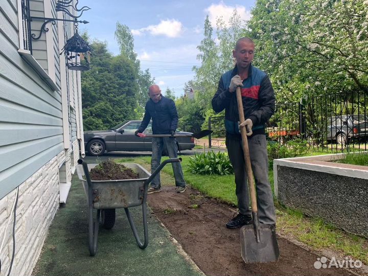 Разнорабочие на копку. Рабочие. Уборка участка