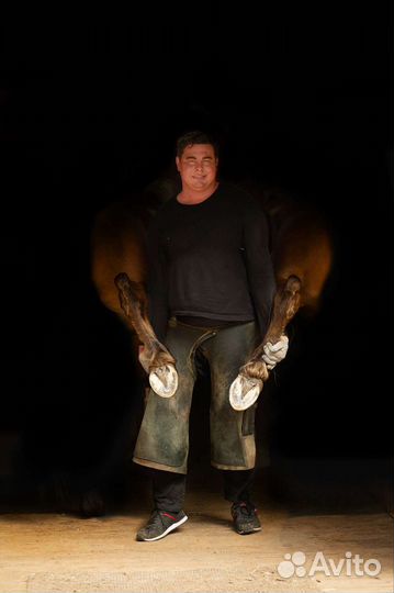 Ковка и расчистка Лошадей и Пони и восстановления