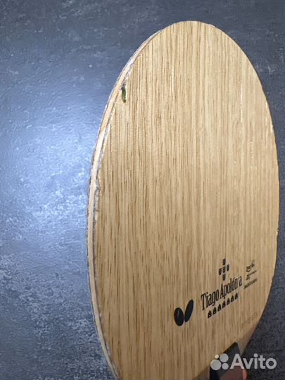 Butterfly tiago apolonia zlc