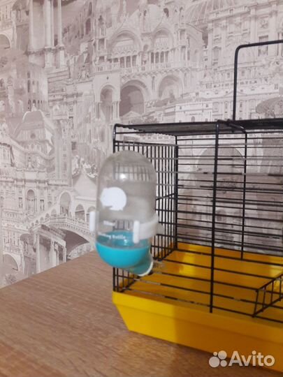 Клетка для джунгарского хомяка