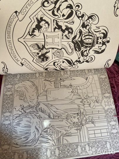 Раскраска Гарри Поттер