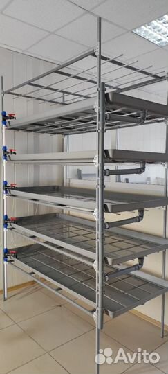 Стеллаж (гидропоника) для растений