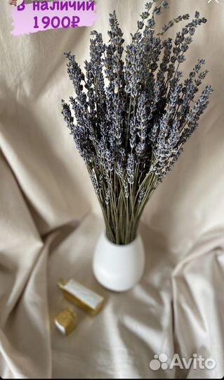 Букет из лаванды и сухоцветов