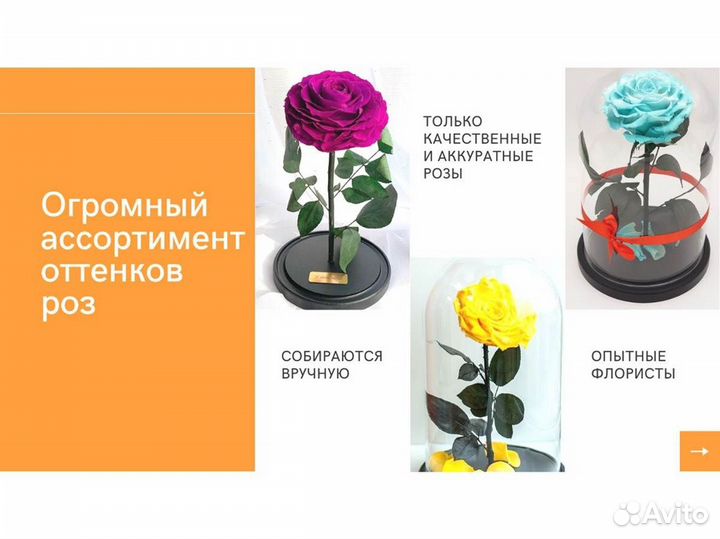 Живая роза в колбе