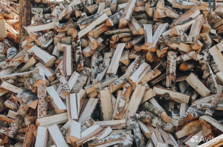 Дрова береза