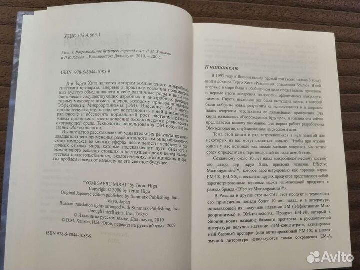 Теруо Хига. Возрожденное будущее