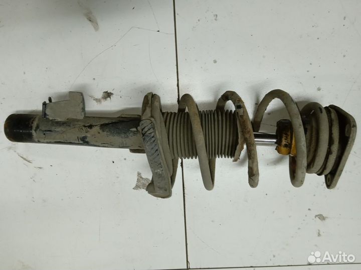 Ford focus (II) II Амортизатор передний левый