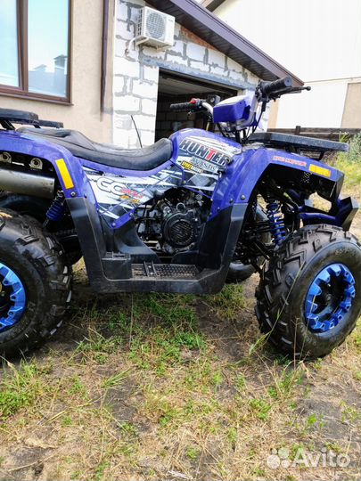 Avantis Hunter 200new