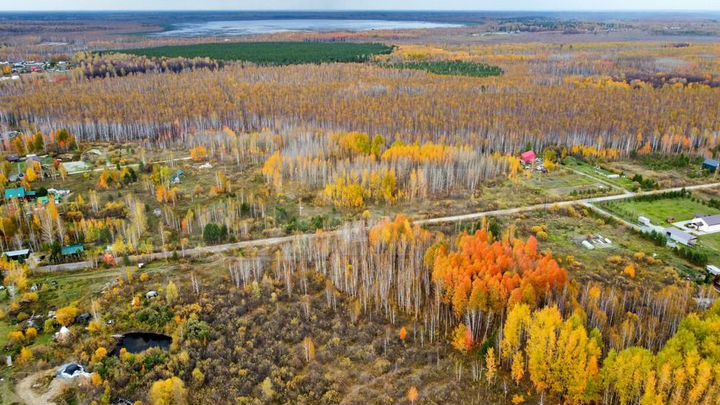 Участок 2,5 га (ИЖС)