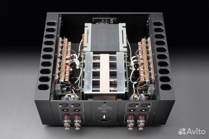 Begemot Limited - усилитель Александра Трусова